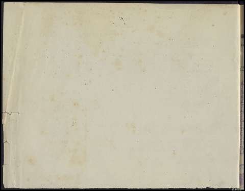 arg_trrpol_117869-24_026