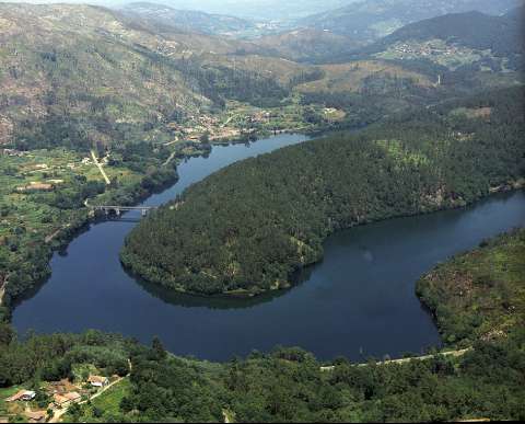 Río Miño. Cortegada (G06071-454)