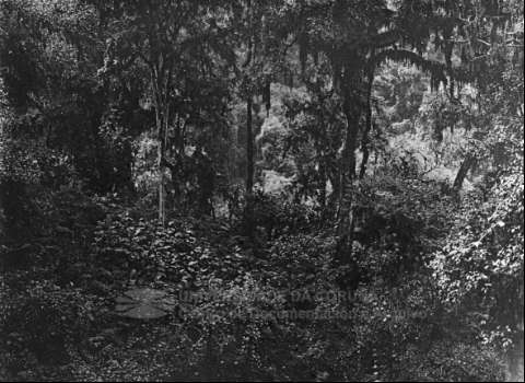 UDC_DF_000 034.JPG ( Jpeg File Interchange Format )