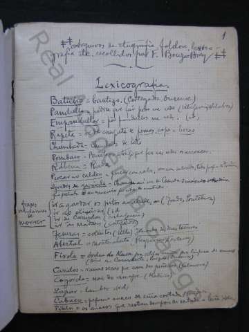 C_169_03_02.JPG ( Jpeg File Interchange Format )