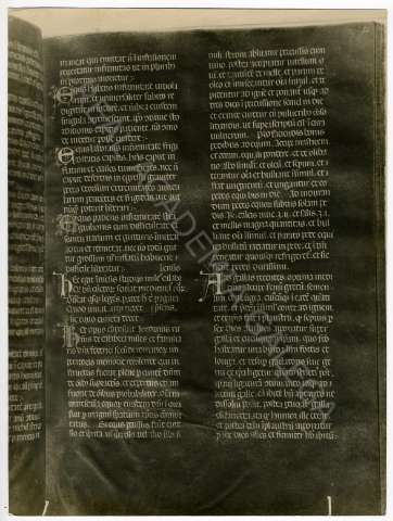 FL_04_82.JPG ( Jpeg File Interchange Format )