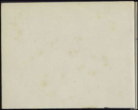 arg_trrpol_117858-45_070