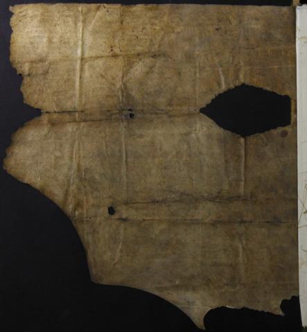 arg_colperg_16603-2-2v