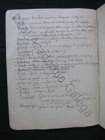 C_169_03_03.JPG ( Jpeg File Interchange Format )