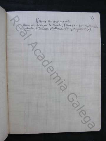 C_169_03_07.JPG ( Jpeg File Interchange Format )