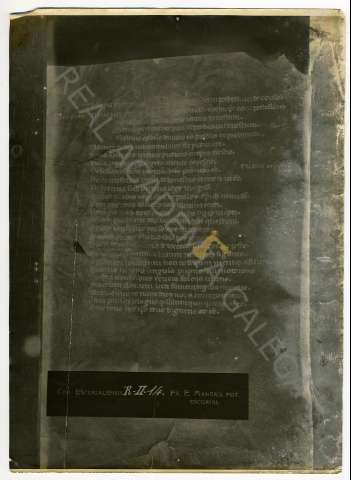 FL_04_55.JPG ( Jpeg File Interchange Format )