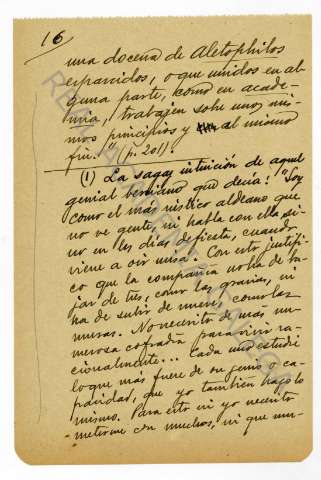 C_243_05_016.JPG ( Jpeg File Interchange Format )