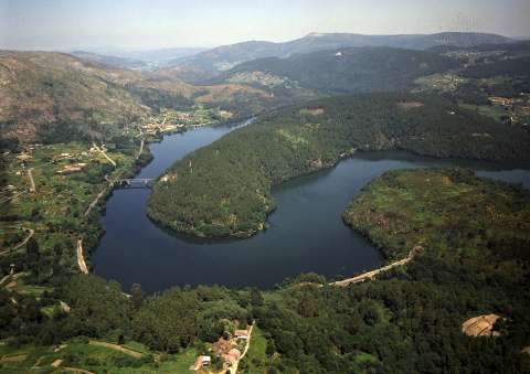 Río Miño. Cortegada (G06071-453)