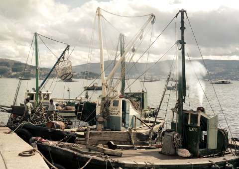 Barcos de pesca. Moaña (G06072-098)