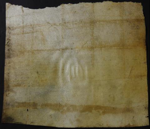 arg_colperg_19901-2-1v