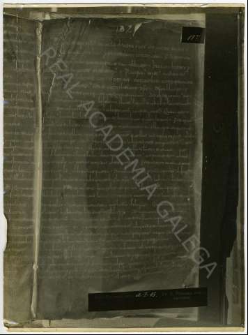 FL_04_25.JPG ( Jpeg File Interchange Format )