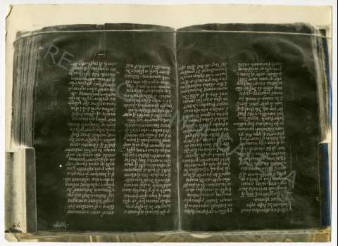 FL_04_28.JPG ( Jpeg File Interchange Format )