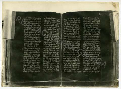 FL_04_29.JPG ( Jpeg File Interchange Format )