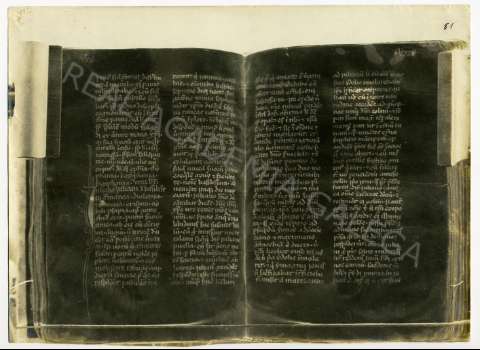 FL_04_30.JPG ( Jpeg File Interchange Format )