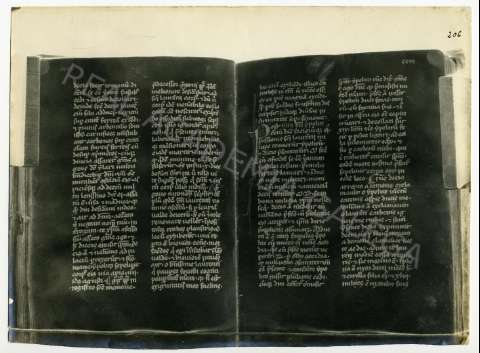 FL_04_33.JPG ( Jpeg File Interchange Format )