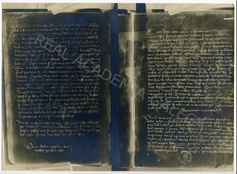 FL_04_83.JPG ( Jpeg File Interchange Format )